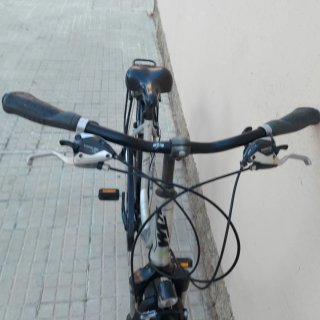 Bicicleta Paseo
