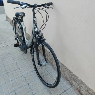 Bicicleta Paseo