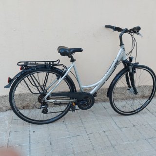 Bicicleta Paseo