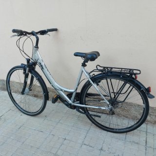 Bicicleta Paseo