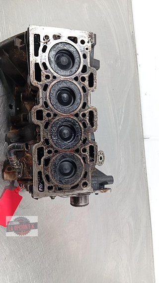 BLOQUE Renault Kangoo II (F/KW0)(2008->)