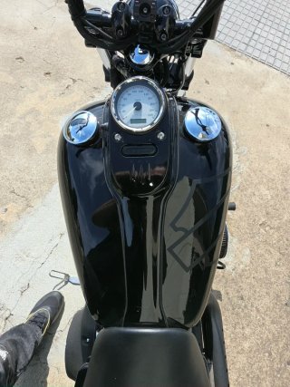 Harley-Davidson Dyna Street Bob Motor 1600cc