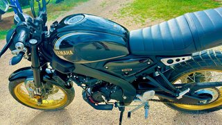 Yamaha XSR125 Legacy Negra/Dorada