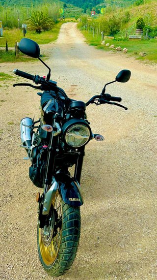Yamaha XSR125 Legacy Negra/Dorada