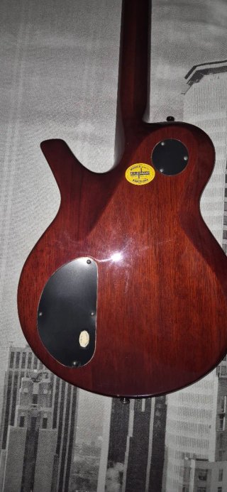 Parker PM10 Hornet Guitarra Eléctrica