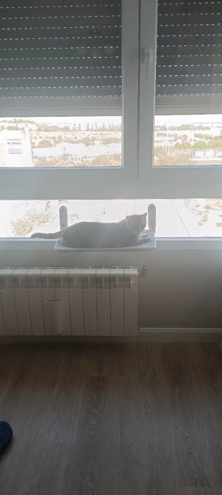 Hamaca para ventana de gato plegable