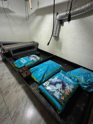 Equipo cultivo interior completo