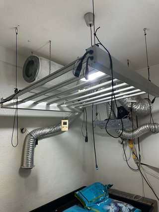 Equipo cultivo interior completo