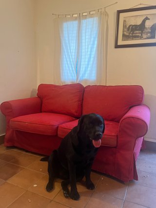 Sofá rojo 2 plazas