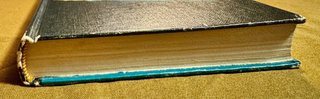 Libro:  "El Haragán" del autor Tomás Salvador.
