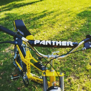 Cambio Derbi Panther Mach 2