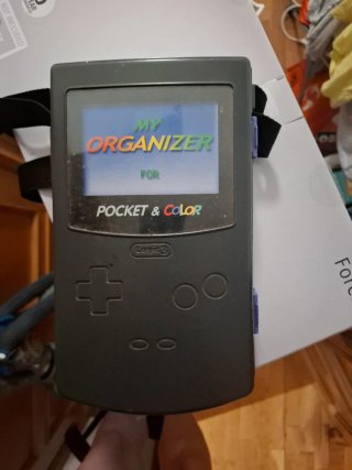 Maletín Nintendo Game Boy Color