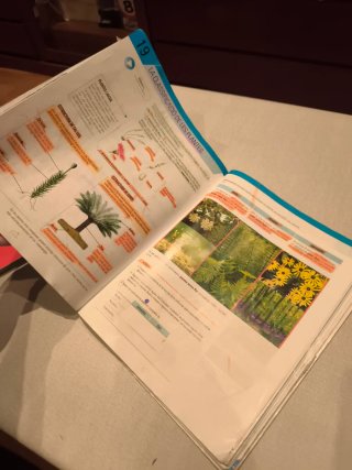 Biologia i Geologia I, ESO, Secundària, D'una a...