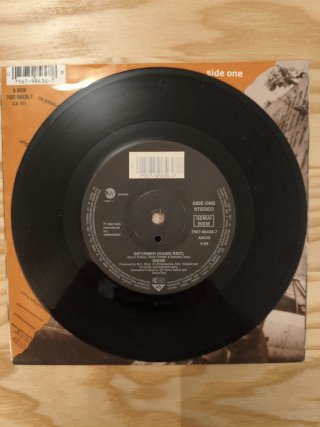 SINGLE SNOW INFORMER VINILO 7" DUB REGGAE SKA