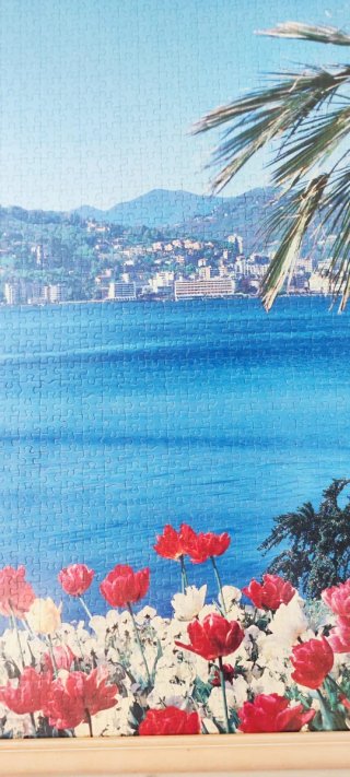 Puzzle Marco Montaña Lago Flores
