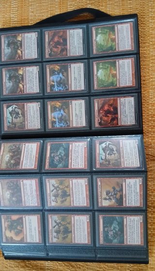 Raccoglitore con 355 carte Magic