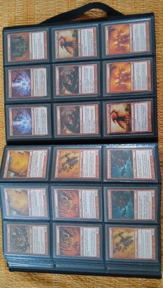 Raccoglitore con 355 carte Magic