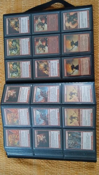 Raccoglitore con 355 carte Magic