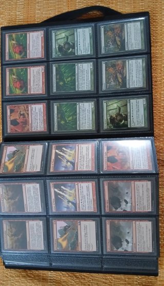 Raccoglitore con 355 carte Magic