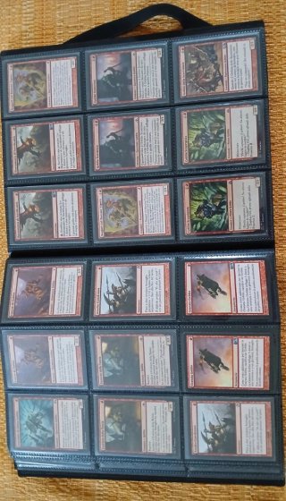 Raccoglitore con 355 carte Magic