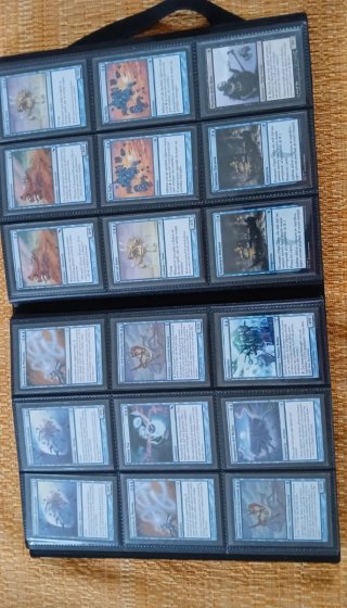 Raccoglitore con 355 carte Magic