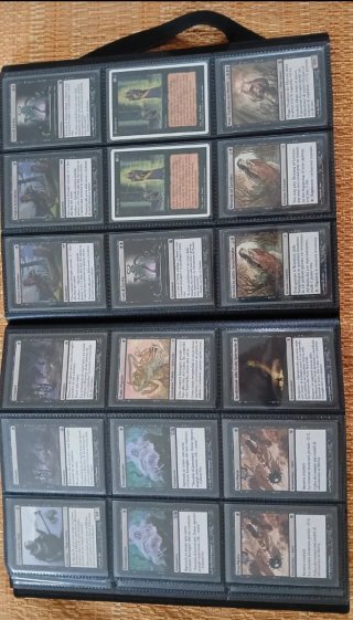 Raccoglitore con 355 carte Magic