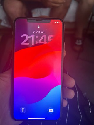 iPhone 11 Pro Max Dorado/Plateado