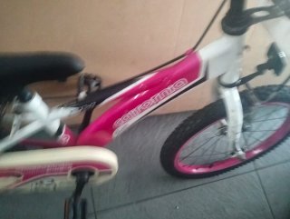 Bicicleta Niña California 20