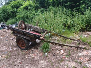 Antico carro trainato da cavalli