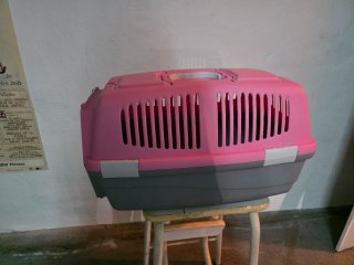 Transportín para mascotas rosa