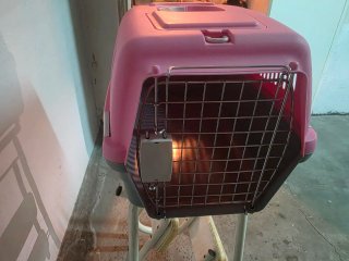 Transportín para mascotas rosa