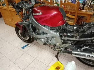 Kawasaki ZZR 600 Roja
