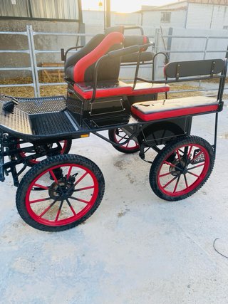 Coche de caballos Marathon