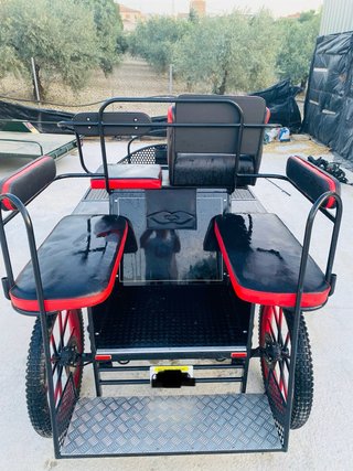 Coche de caballos Marathon