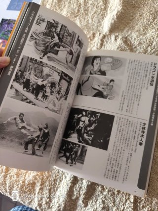 Bruce Lee, Jackie Chan, cine de Hong Kong libro.