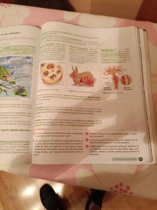 Biología, Geología y CC. Ambientales 1º Bachill...