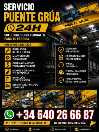 Puente Grúa Industrial 24H