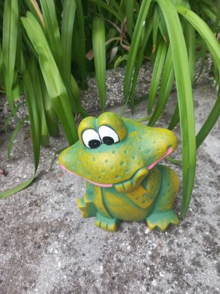 Simpatica ranocchia decorativa da giardino