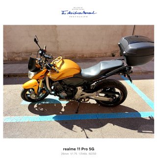 Honda CB 600 F Hornet Dorada