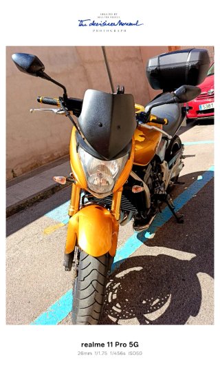 Honda CB 600 F Hornet Dorada