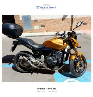 Honda CB 600 F Hornet Dorada
