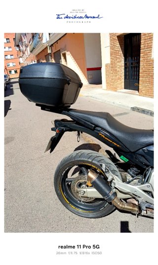 Honda CB 600 F Hornet Dorada