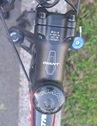 Cuadro Giant Talon 1, 29"