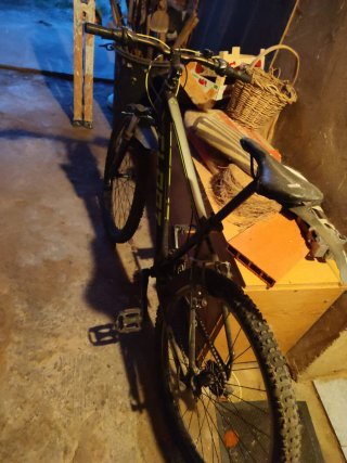 Bicicleta de Montaña