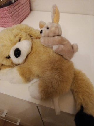 Peluche perro y conejo
