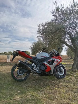 Suzuki GSXR 1000 - Moto Deportiva