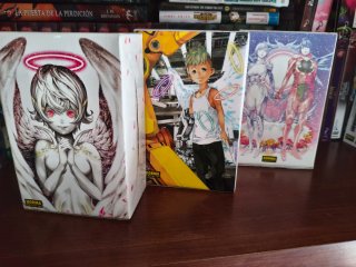 Platinum end