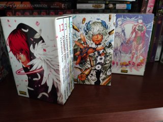 Platinum end