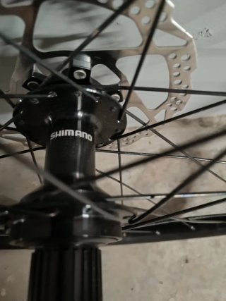 Rueda 29