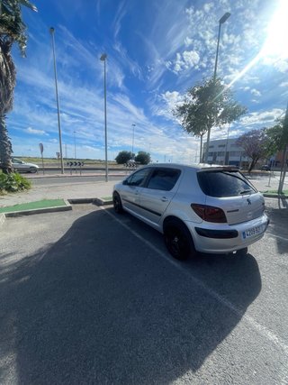 Peugeot 307 2002